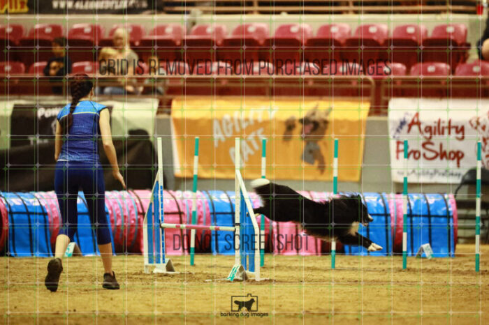 Legendary_Vickers_Thursday_Masters_Agility_Heat_152_SH_2345