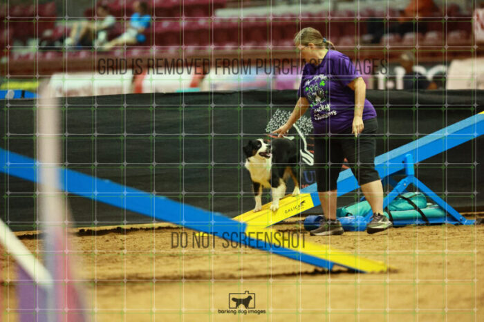 Katie_Neel_Saturday_OpenAgility_200_KO_4905