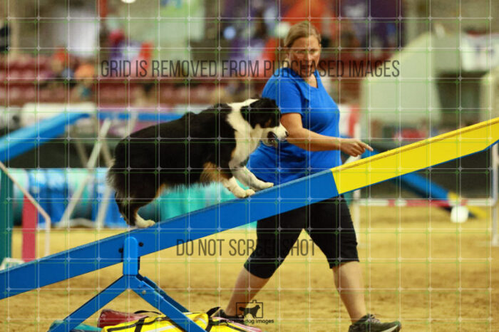 Katie_Neel_Thursday_Masters_Agility_Heat_258_SH_6405