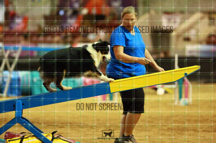 Katie_Neel_Thursday_Masters_Agility_Heat_258_SH_6409
