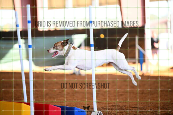 Pearl_Bigger_Saturday_WTAJumping_243_KG_5479