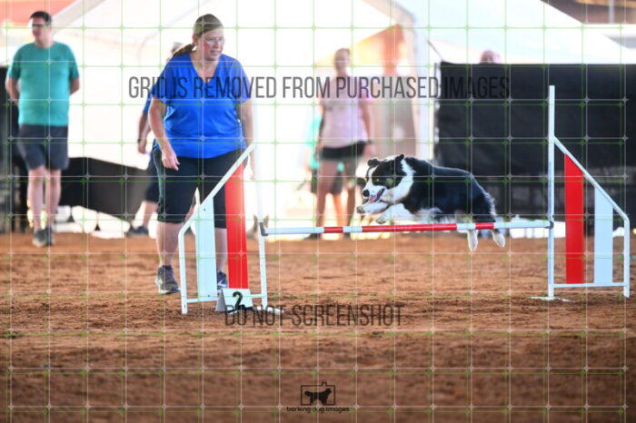 Katie_Neel_Thursday_Masters_Jumping_Heat_152_LB_1058