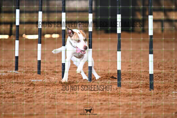 Pearl_Bigger_Saturday_WTAJumping_243_KG_5536