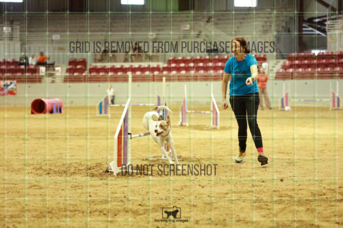 Pearl_Bigger_Wednesday_Speedstakes_Semi_Final_205_RR_4079