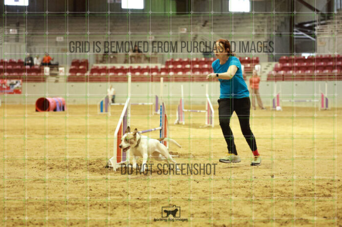 Pearl_Bigger_Wednesday_Speedstakes_Semi_Final_205_RR_4083