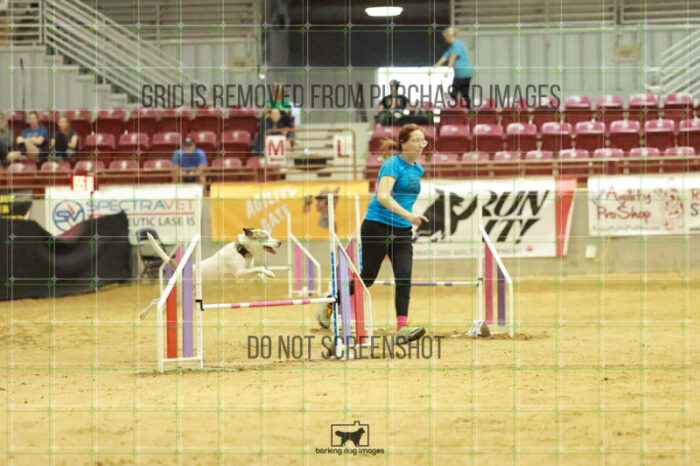 Pearl_Bigger_Wednesday_Speedstakes_Semi_Final_205_RR_4094