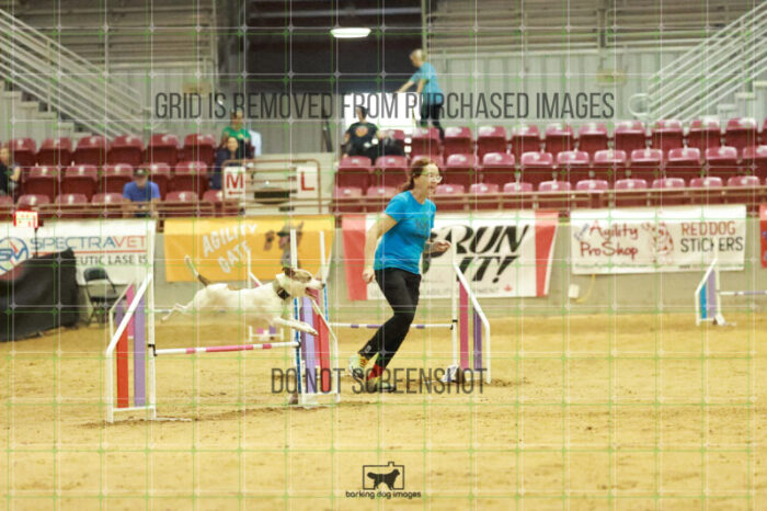 Pearl_Bigger_Wednesday_Speedstakes_Semi_Final_205_RR_4096