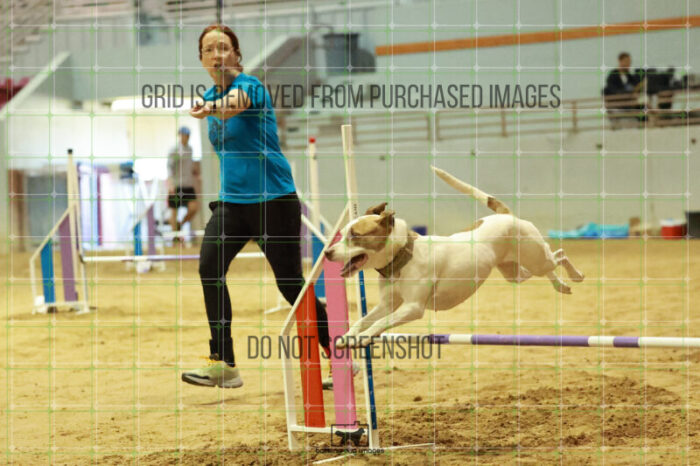 Pearl_Bigger_Wednesday_Speedstakes_Semi_Final_205_RR_4110