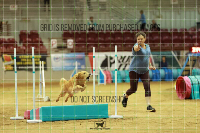 Kaylee_Ritenour_Friday_MastersAgilityFinal_117_RR_3543