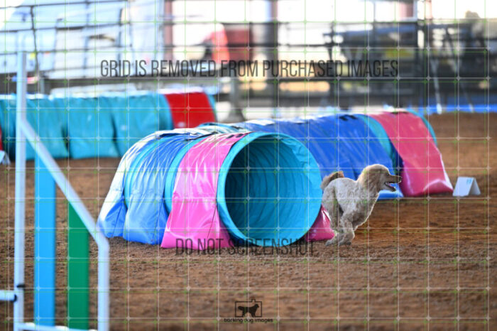 Keegan_Grace_OReilly_Biathlon_Jumping_Wednesday_242_LB_3650