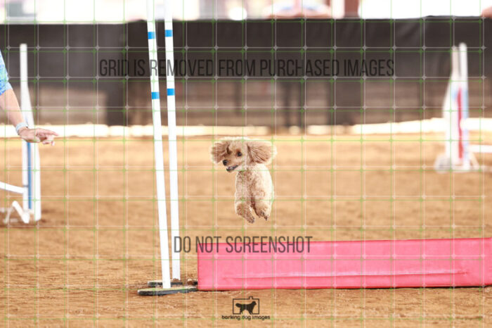 Keegan_Grace_OReilly_Friday_MastersJumpingFinal_101_JC_0041