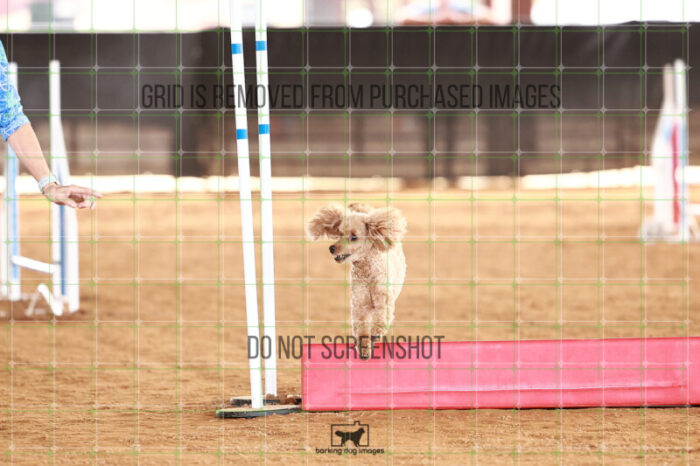 Keegan_Grace_OReilly_Friday_MastersJumpingFinal_101_JC_0042