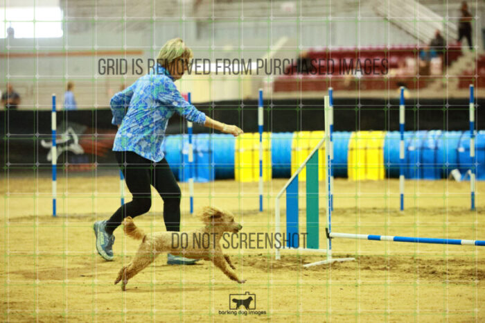 Keegan_Grace_OReilly_Friday_Round2Jumping_100_KO_8232