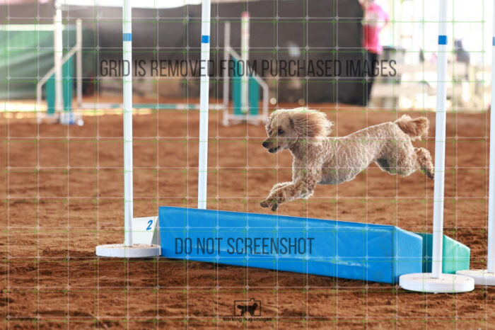 Keegan_Grace_OReilly_Ring_5_Saturday_WTAJumping_174_JC_2354