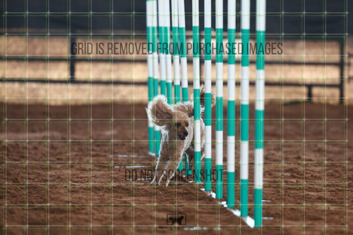 Keegan_Grace_OReilly_Ring_5_Saturday_WTAJumping_174_JC_2369
