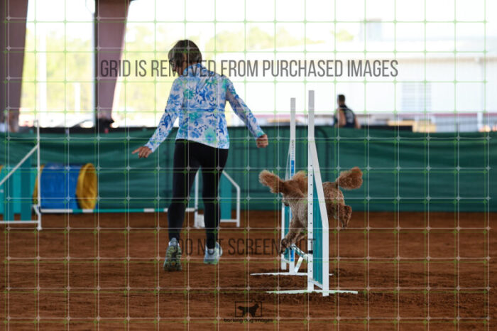 Keegan_Grace_OReilly_Ring_5_Saturday_WTAJumping_174_JC_2379