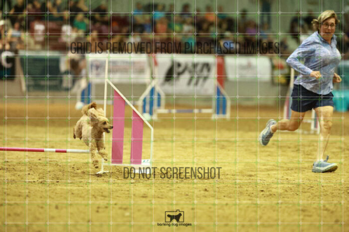 Keegan_Grace_OReilly_Speedstakes_Finals_121_0533