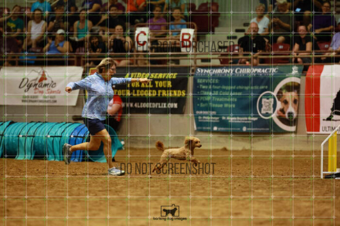 Keegan_Grace_OReilly_Thursday_Speedstakes_Finals_117_VW_1516