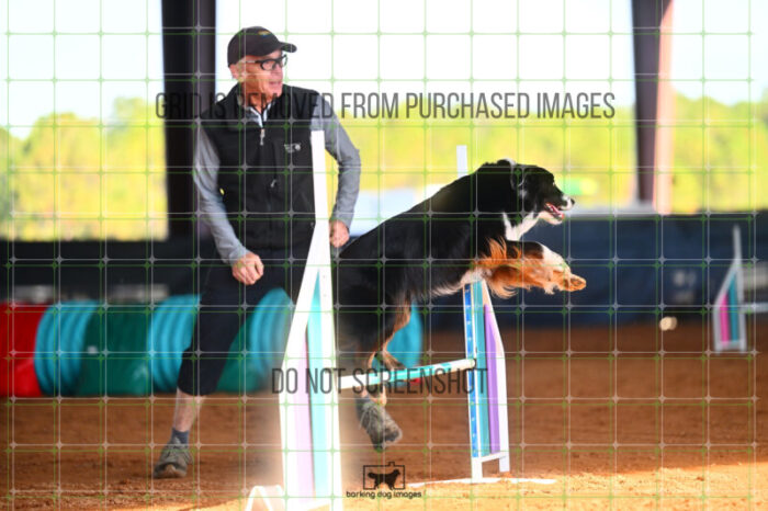 Lickety_Split_Harris_Friday_MastersJumpingFinal_144_LB_1243
