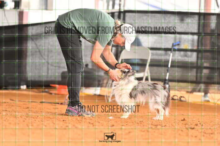 Peyto_Devanney_Friday_MastersJumpingFinal_256_LB_4429