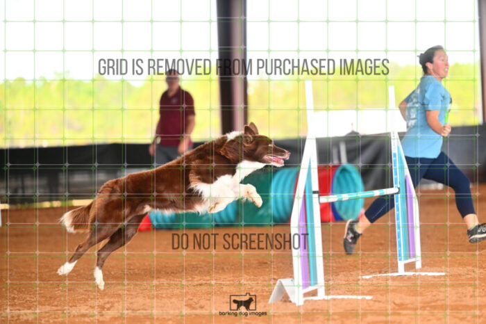 Kenobi_Badamo_Friday_MastersJumpingFinal_244_LB_4076