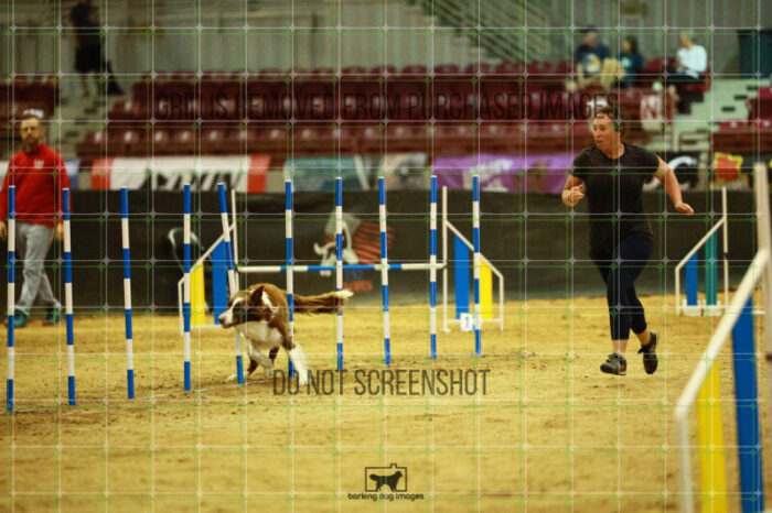 Kenobi_Badamo_Ring_2_Wednesday_Biathlon_Jumping_214_SH_4187