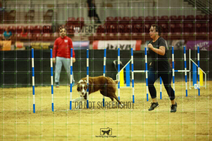 Kenobi_Badamo_Ring_2_Wednesday_Biathlon_Jumping_214_SH_4191