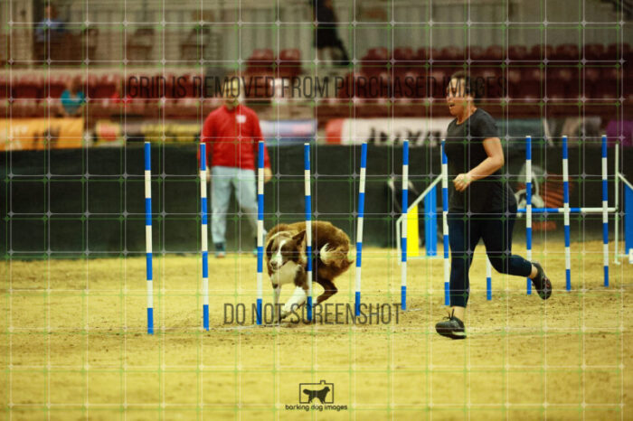 Kenobi_Badamo_Ring_2_Wednesday_Biathlon_Jumping_214_SH_4193