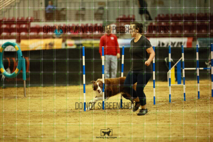Kenobi_Badamo_Ring_2_Wednesday_Biathlon_Jumping_214_SH_4197