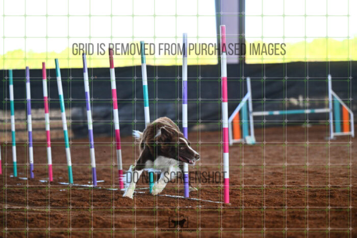 Kenobi_Badamo_Saturday_WTAJumping_193_LB_2897