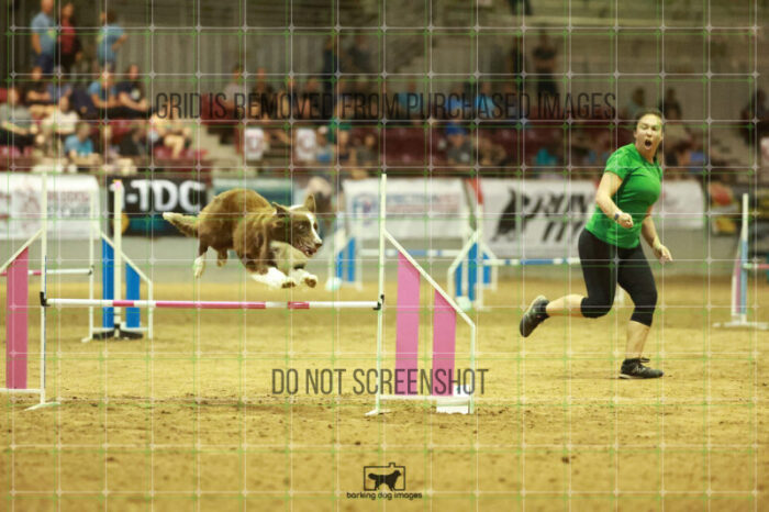 Kenobi_Badamo_Speedstakes_Finals_194_1929