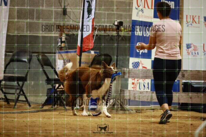 Kenobi_Badamo_Sunday_NationalFinals_188_KO_2297
