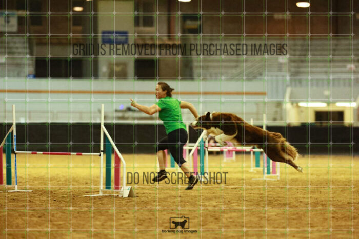 Kenobi_Badamo_Thursday_Speedstakes_Finals_190_VW_5165