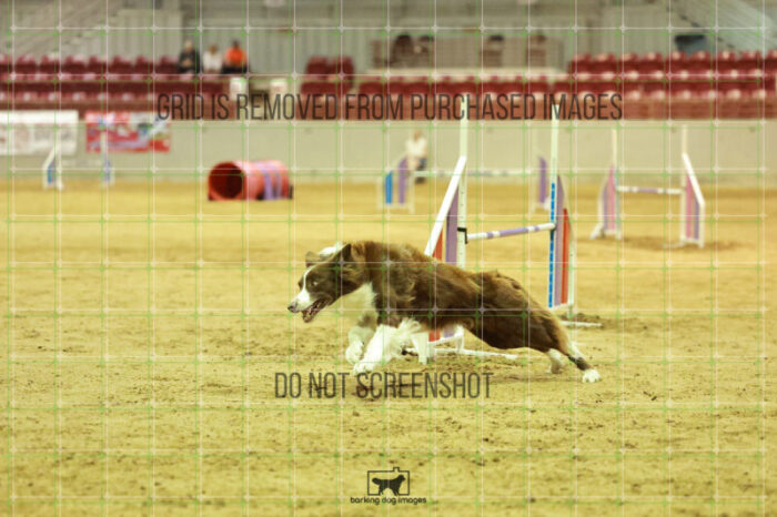 Kenobi_Badamo_Wednesday_Speedstakes_Semi_Final_212_RR_4378