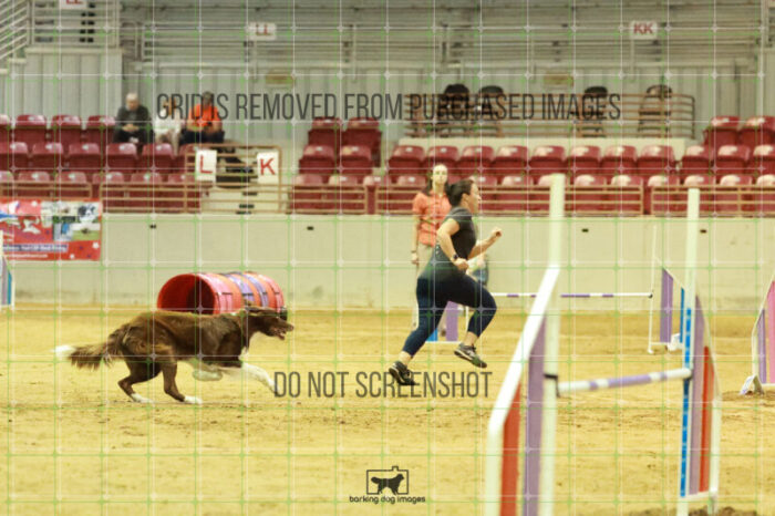 Kenobi_Badamo_Wednesday_Speedstakes_Semi_Final_212_RR_4395