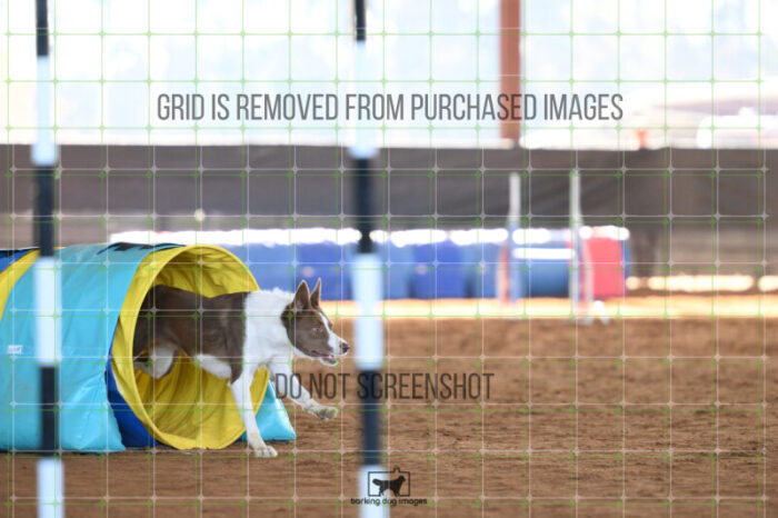 Mayhem_Grunhovd_Friday_MastersJumpingFinal_180_AS_3308