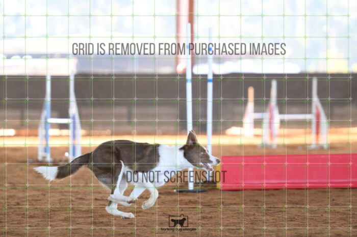 Mayhem_Grunhovd_Friday_MastersJumpingFinal_180_AS_3312
