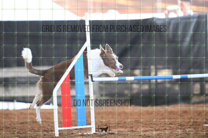 Mayhem_Grunhovd_Friday_MastersJumpingFinal_180_AS_3320