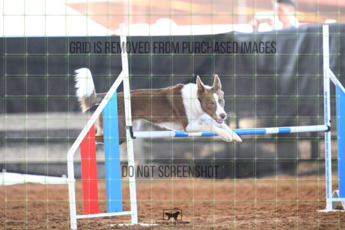 Mayhem_Grunhovd_Friday_MastersJumpingFinal_180_AS_3321