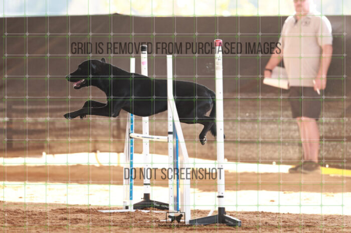 Kevin_Taylor_Friday_MastersJumpingFinal_177_JC_2208