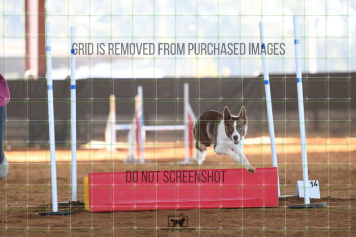 Mayhem_Grunhovd_Friday_MastersJumpingFinal_180_AS_3347