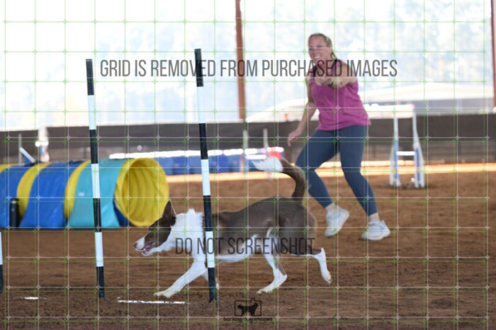 Mayhem_Grunhovd_Friday_MastersJumpingFinal_180_AS_3355