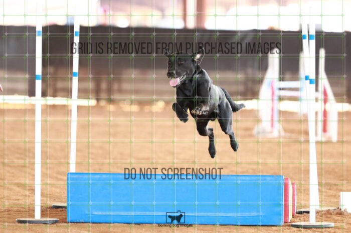 Kevin_Taylor_Friday_MastersJumpingFinal_177_JC_2235