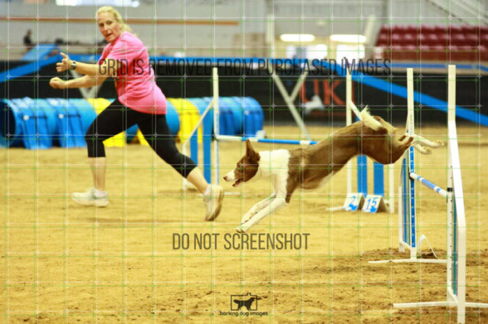 Mayhem_Grunhovd_Ring_2_Saturday_OpenAgility_210_SH_4449
