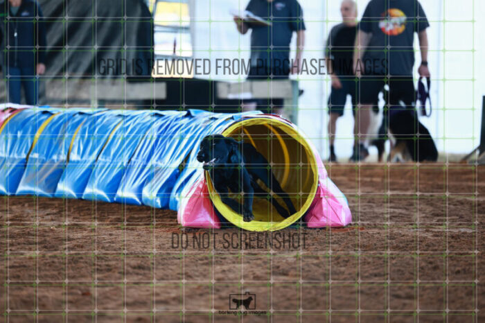 Kevin_Taylor_Ring_6_Wednesday_Speedstakes_SemiFinal_135_JC_1024