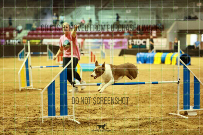 Mayhem_Grunhovd_Ring_2_Wednesday_Biathlon_Jumping_141_SH_1355