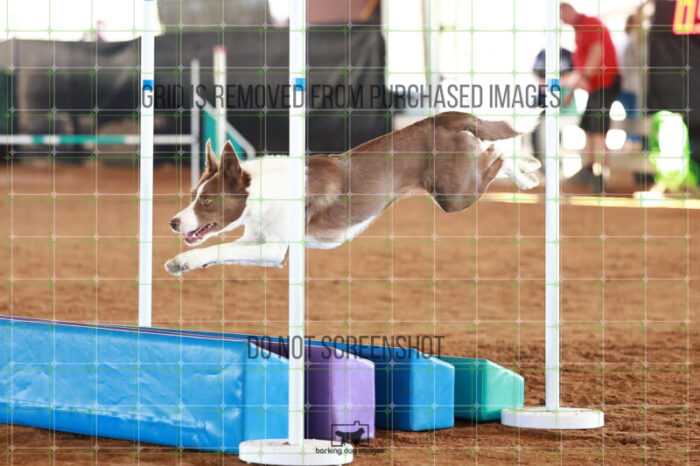 Mayhem_Grunhovd_Ring_5_Saturday_WTAJumping_333_JC_7028
