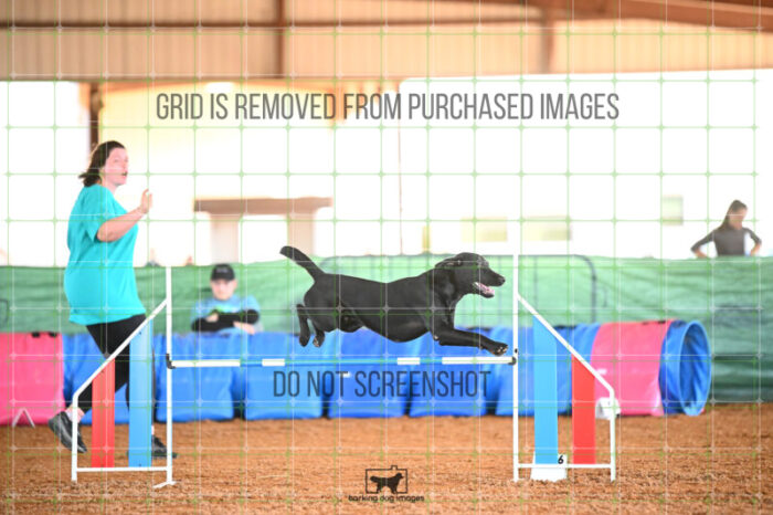 Kevin_Taylor_Saturday_WTAJumping_256_KG_6753