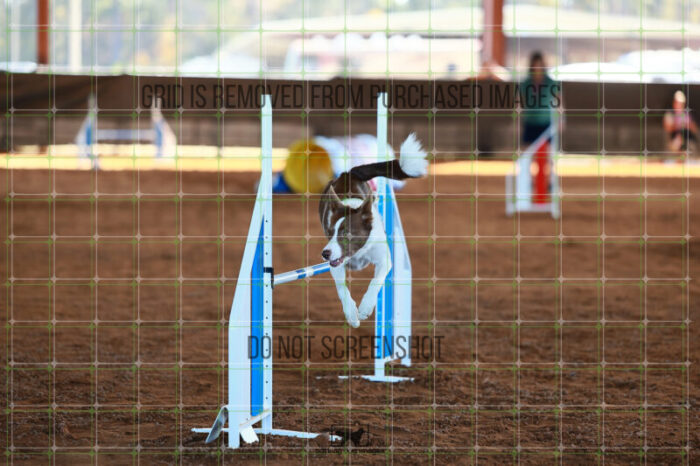 Mayhem_Grunhovd_Ring_6_Wednesday_Speedstakes_SemiFinal_227_JC_3067