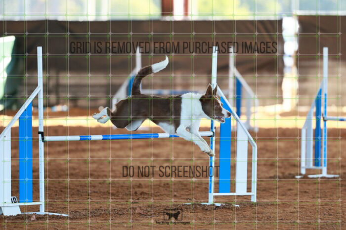 Mayhem_Grunhovd_Ring_6_Wednesday_Speedstakes_SemiFinal_227_JC_3074